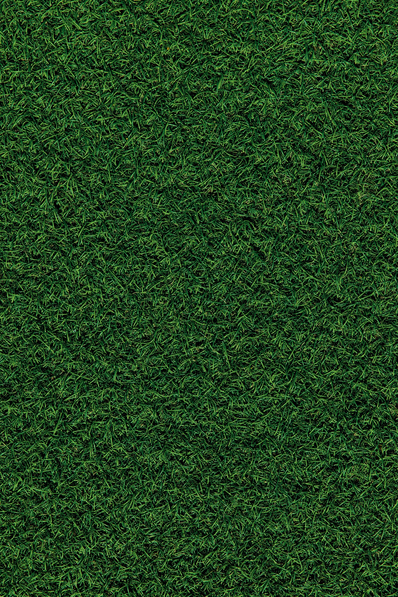 Mehr über den Artikel erfahren Michal versuche auch mal was zu schreiben easyyy